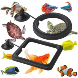 HausPets Anillo dispensador comida peces, 2 piezas, acuario, pecera tortuga - Artículo 1