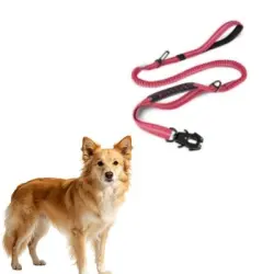 MCBOSON Correa elástica reflectante para perros Rose Antipull con 3 asas - 1 artículo
