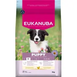 Eukanuba Premium Nutrition Puppy Medium Breed pollo - 3 kg