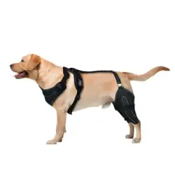IntiMeg Cinturón de soporte para las patas traseras del perro - METRO