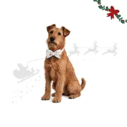 Wonder Christmas Pajarita Caramelo para perros 6 x 9 x 0.7 cm