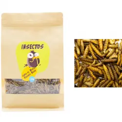 Larvas de Mosca Soldado Negra para Pájaros, Peces, Tortugas, Roedores y Reptiles – 150g - Black Soldier Fly – Snack de proteínas para Animales