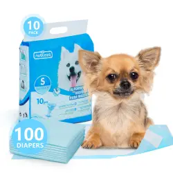 Nobleza 100 x Empapadores Perros, Alfombras de Entrenamiento con Adhesivo para Mascotas, Toallitas de Adiestramiento Cachorros，60 x 40 cm, 100 Unidades