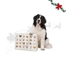 Wonder Christmas Tote Bag Guau para perros 40 x 15 x 30 cm