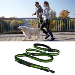 IntiMeg Correa de adiestramiento para perros - Una pieza