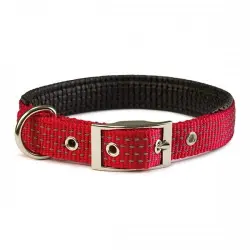 Collar para perros Arquivet de nylon color rojo