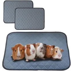 FurryFusion Juego de 2 alfombrillas para jaulas de animales pequeños - 30*40 cm