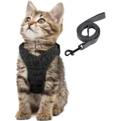 HausPets Arnés gato/perro correa ajustable chaleco transpirable, color - Artículo 1