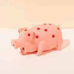 IntiMeg  de cerdo de látex - Artículo 1