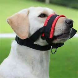 IntiMeg Bozal para perros, antimordeduras y antiingestión - L