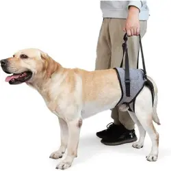 MCBOSON Cinturón de soporte para las patas traseras del perro - Talla S 40-46, pierna 24, peso recomendado 16-24 kg