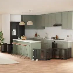 Puerta De Perros Plegable 10 Paneles Madera Álamo Negra 800 Cm