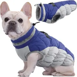 IntiMeg Abrigo cálido y protector para perros - L
