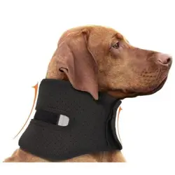 IntiMeg Collar de recuperación para perros - METRO