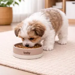 Leeby Comedero de Cerámica Marrón y Blanco para perros - 1.8 l