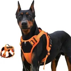 IntiMeg Arnés Power Dog - S