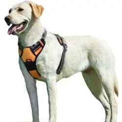 Pawffee Arnés antitirones XL para perros: reflectante, transpirable y - 1 pieza