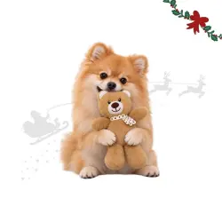 Wonder Christmas Oso Caramelo Peluche para perros - 20 x 10 x 6 cm
