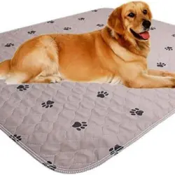 ZooVenture Almohadillas absorbentes reutilizables perros - 4 90*120cm - color marrón claro