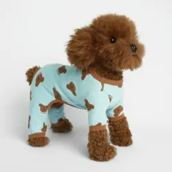 ZooVenture Traje de recuperación para perros, azul, talla M - Azul - Talla M