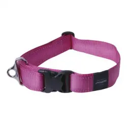 Collar Rogz para perros Landing Strip