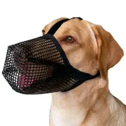 FurryFusion bozal para perros - S