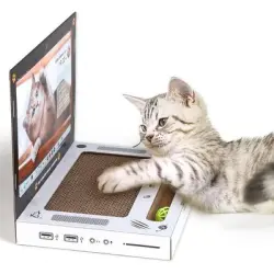 UAMLY Rascador plegable para gatos - Artículo 1