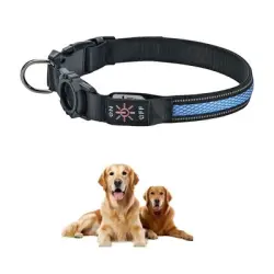 FurryFusion Collar para perros con luz - Azul L
