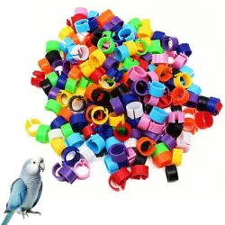 ZooVenture Anillos para patas de pájaro - 200 piezas