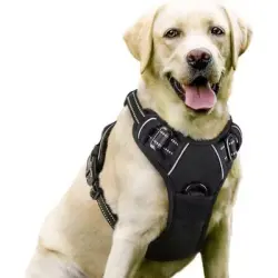 ZooVenture Arnés antitirones para perros - 3 hebillas, ajustable - Negro L 35–45 jin