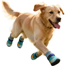 HausPets Zapatos LED ajustables y antideslizantes gatos/cachorros, 5,8 cm - Artículo 1