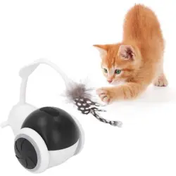 UAMLY Coche deportivo eléctrico Funny Cat - Artículo 1