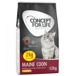 Concept for Life pienso para gatos 10 + 2 kg ¡gratis! - Maine Coon (10 + 2 kg)