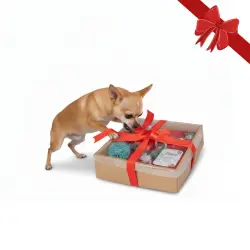 Wonder Christmas Caja de s Navideños para perros