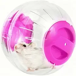 ZooVenture Pelota de ejercicio para hámsteres, ratas y jerbos - Rosa