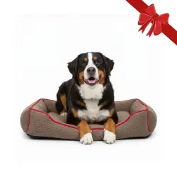 Wonder Christmas Cama Navideña Marrón y Roja para perros - L (70 x 60 x 17)