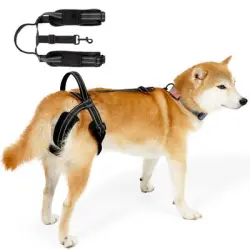 ZooVenture Arnés de elevación para patas traseras de perros - L