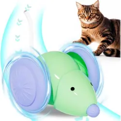 UAMLY s para gatos para entretenerse - Artículo 1