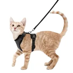 ZooVenture Arnés y correa para gatos - Talla XS, ajustable, reflectante - Negro - XS