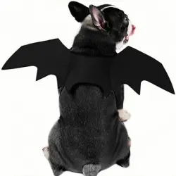 ZooVenture Disfraz de murciélago para perros grandes - S