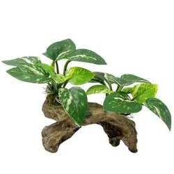 IntiMeg Decoración de acuario hecha con raíces de árboles artificiales - Artículo 1
