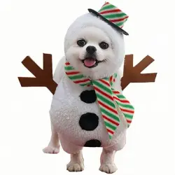IntiMeg Disfraz navideño para mascotas - 1 pieza