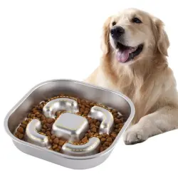 FurryFusion cuenco cuadrado para perros Slow Food - 1100 ml
