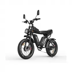 Ridstar Q20 Bicicleta Eléctrica Doble Motor 750w*2 Batería 48v20ah*2 20" Negra
