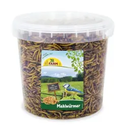 Gusanos de harina JR Farm con extra abundante proteína - 400 g