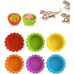 ZooVenture Juego de 6 cuencos coloridos para comida agua animales pequeños - 6 piezas