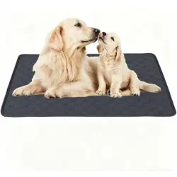 ZooVenture Alfombrilla ultra absorbente de 4 capas - Gris 45*60cm (M)