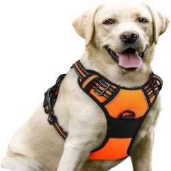 MCBOSON Arnés reflectante antitirones para perros - Naranja-M