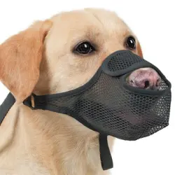 FurryFusion Bozal de malla transpirable para perros - Negro-L