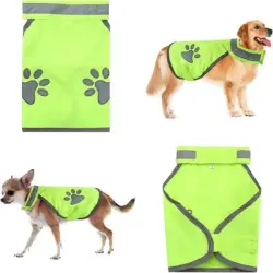 IntiMeg Chaleco reflectante de seguridad para perros - L